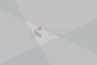 Grey background, wallpaper, vector illustrator