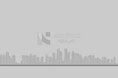 Cityscape background for banner or template, wallpaper, vector illustrator