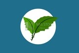 Plant, graphics, icons, vector illustrator.