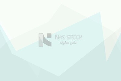 White background with a blue shape, wallpaper, vector illustrator