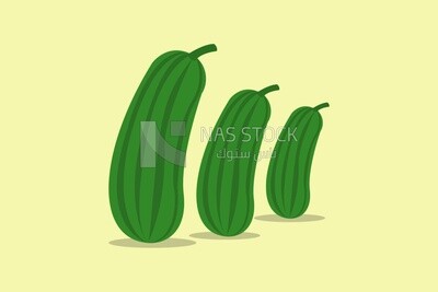 Set of three cucumbers, icons and templates, vector illustrator