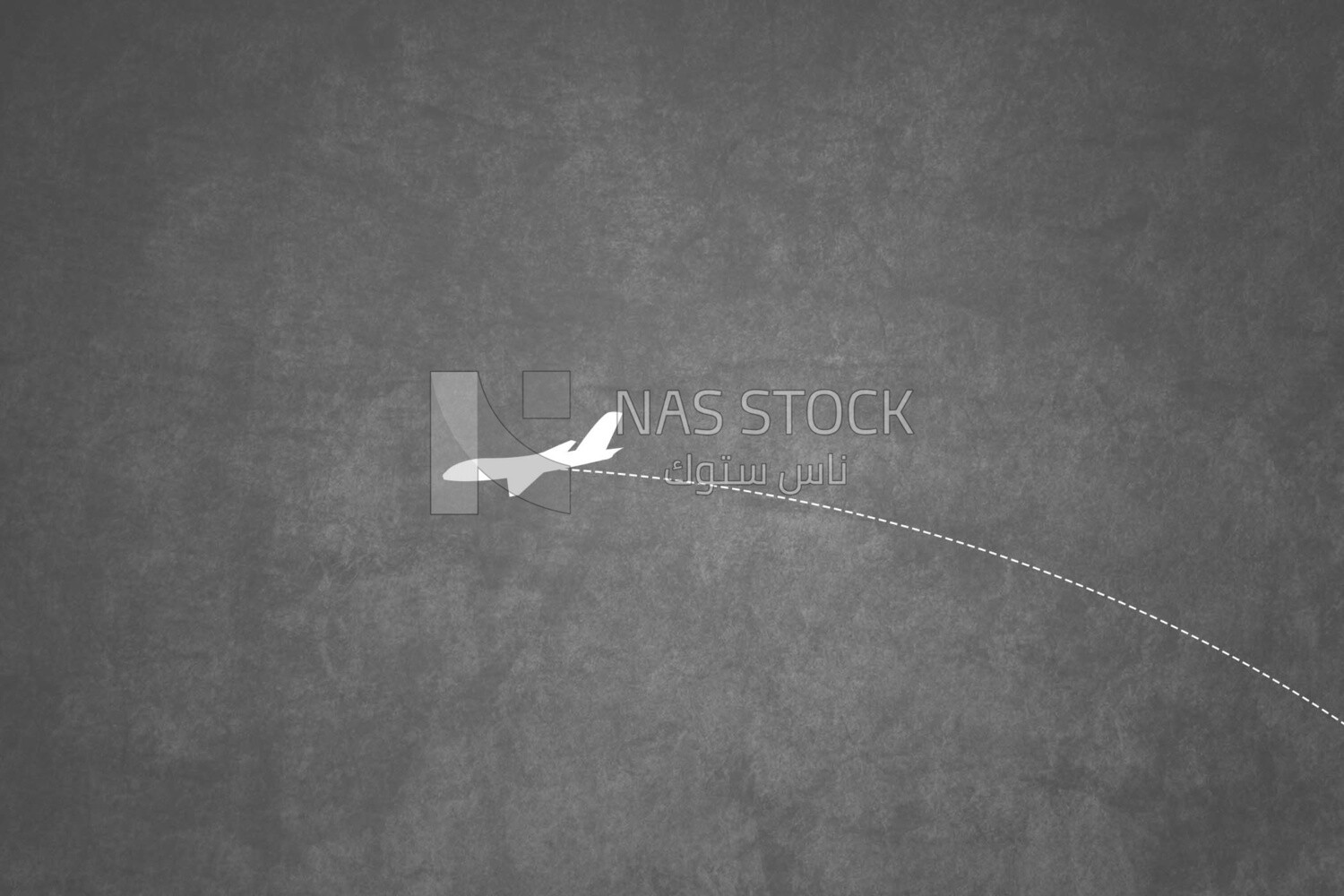 Plane flies on the globe, wallpaper, vector illustrator