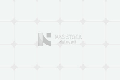 White background with black lines, wallpaper, vector illustrator
