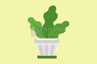 Green plant, graphics, icons, vector illustrator.