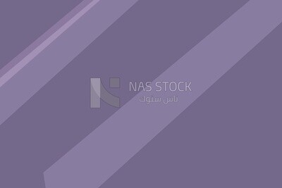 Purple background, wallpaper, vector illustrator