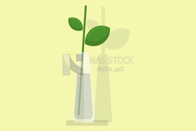 Green plant, graphics, icons, vector illustrator.
