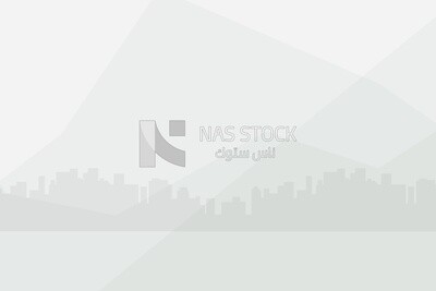 Cityscape background for banner or template, wallpaper, vector illustrator