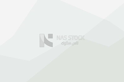 Cityscape background for banner or template, wallpaper, vector illustrator