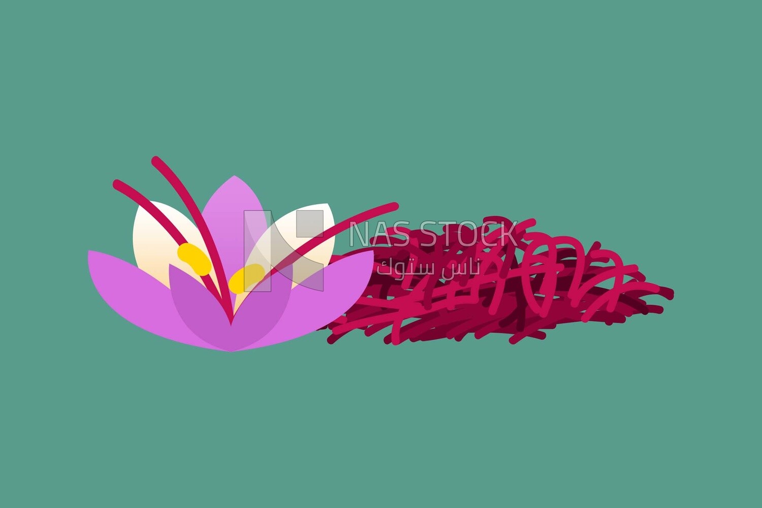 Saffron flower