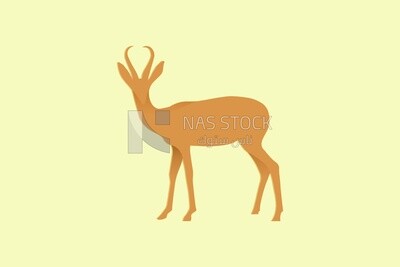 Deer, icons and templates, vector illustrator