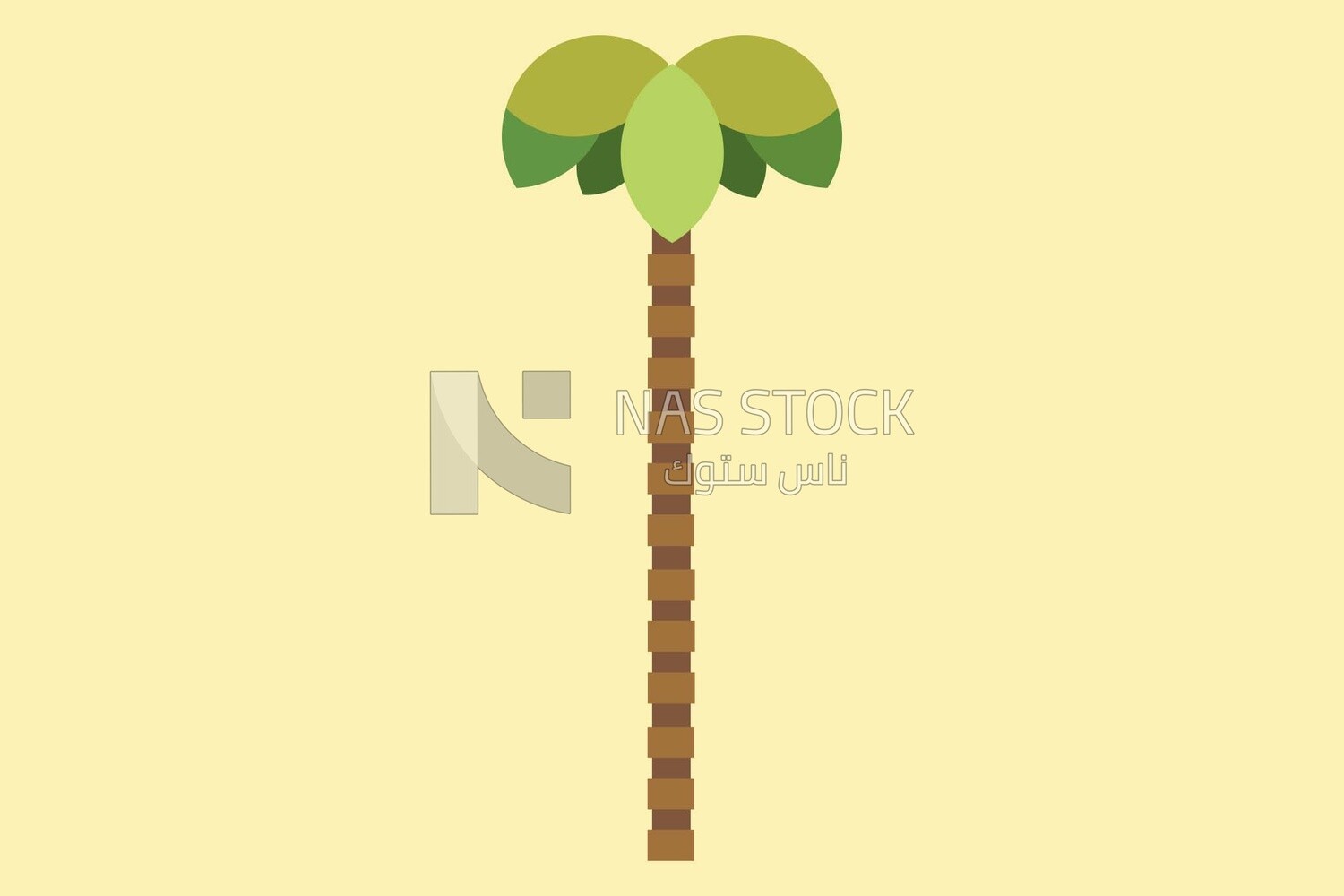 Palm tree, icons and templates, vector illustrator