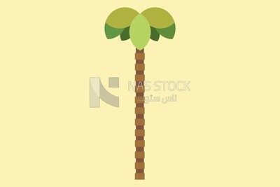 Palm tree, icons and templates, vector illustrator