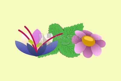 Green leaves, icons and templates, vector illustrator