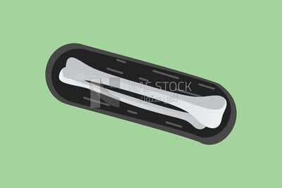 Bones, icons and templates, vector illustrator