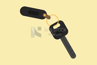 Key, graphics, icons, vector illustrator.