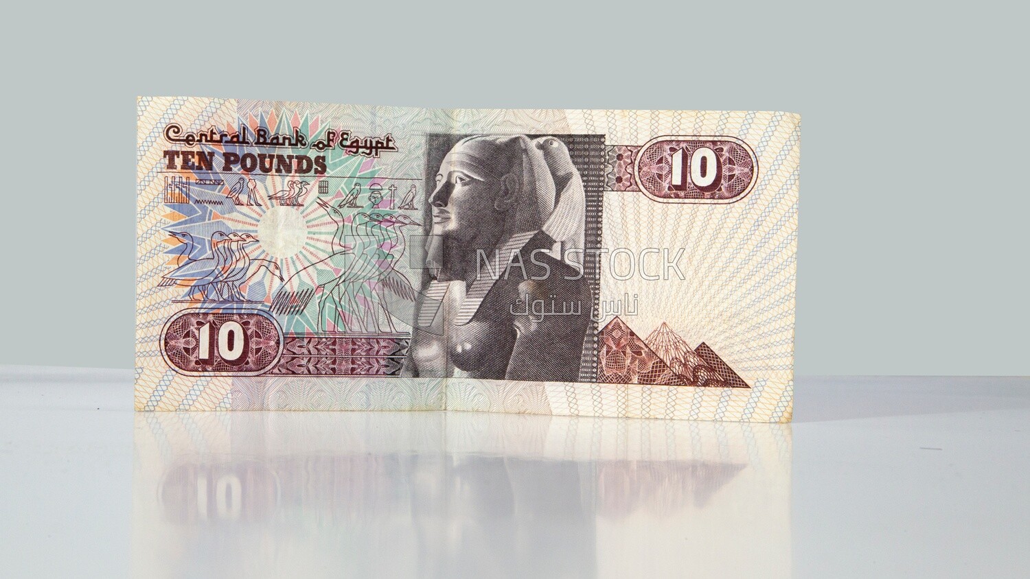 Old ten Egyptian pounds banknote currency, ten pounds
