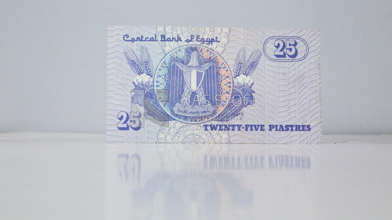 Quarter egyptian pound from back, Egyptian money