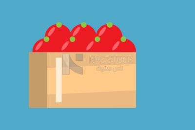Tomato boxes