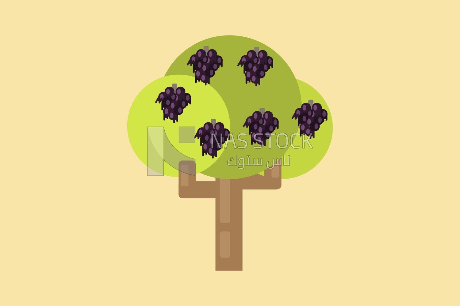 Planting grape trees