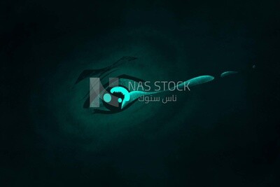 Abstract art of a crying eye