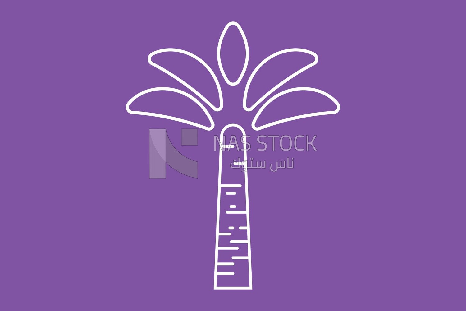 Palm tree