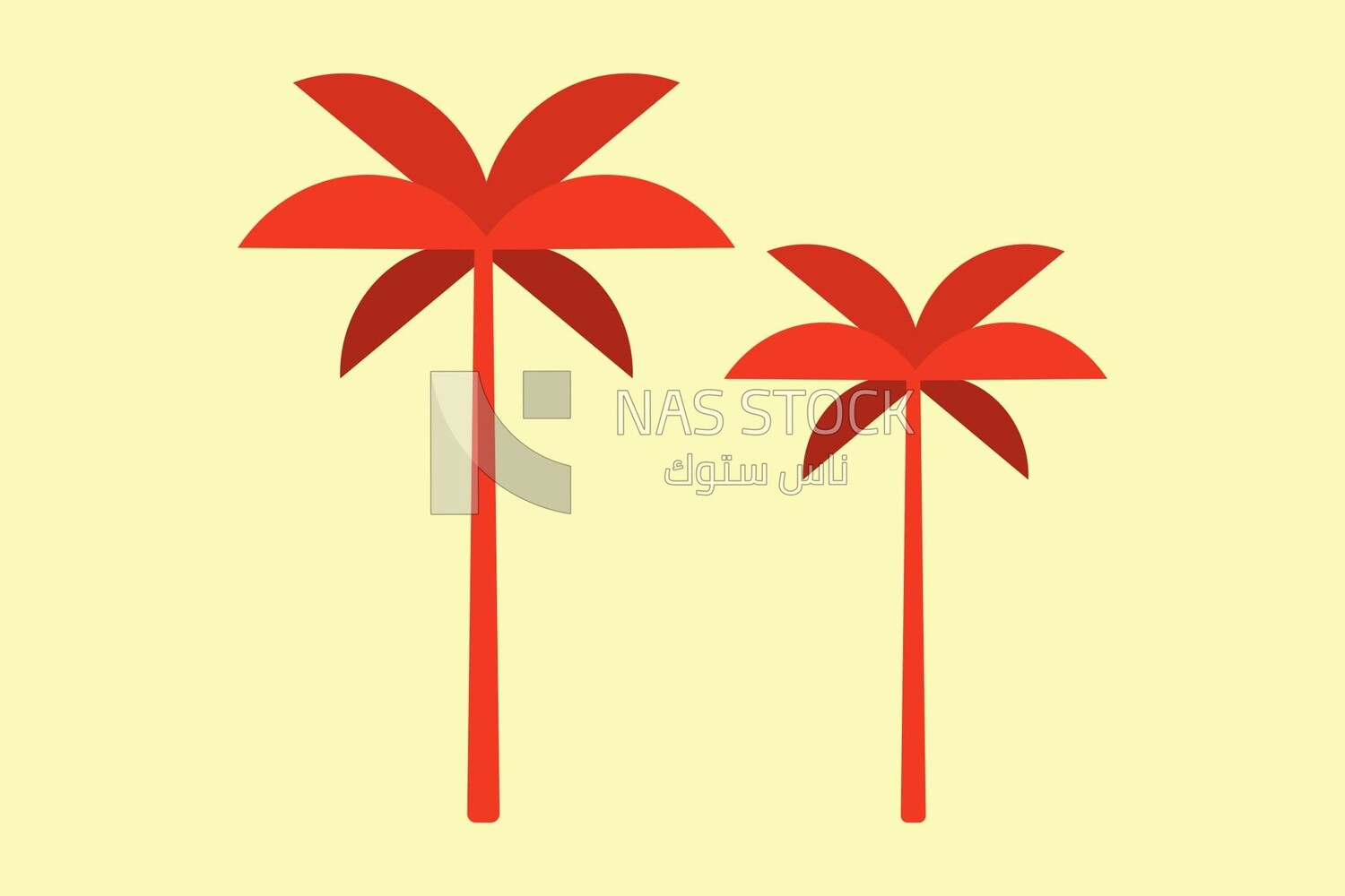 Palm trees
