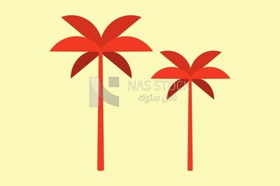 Palm trees