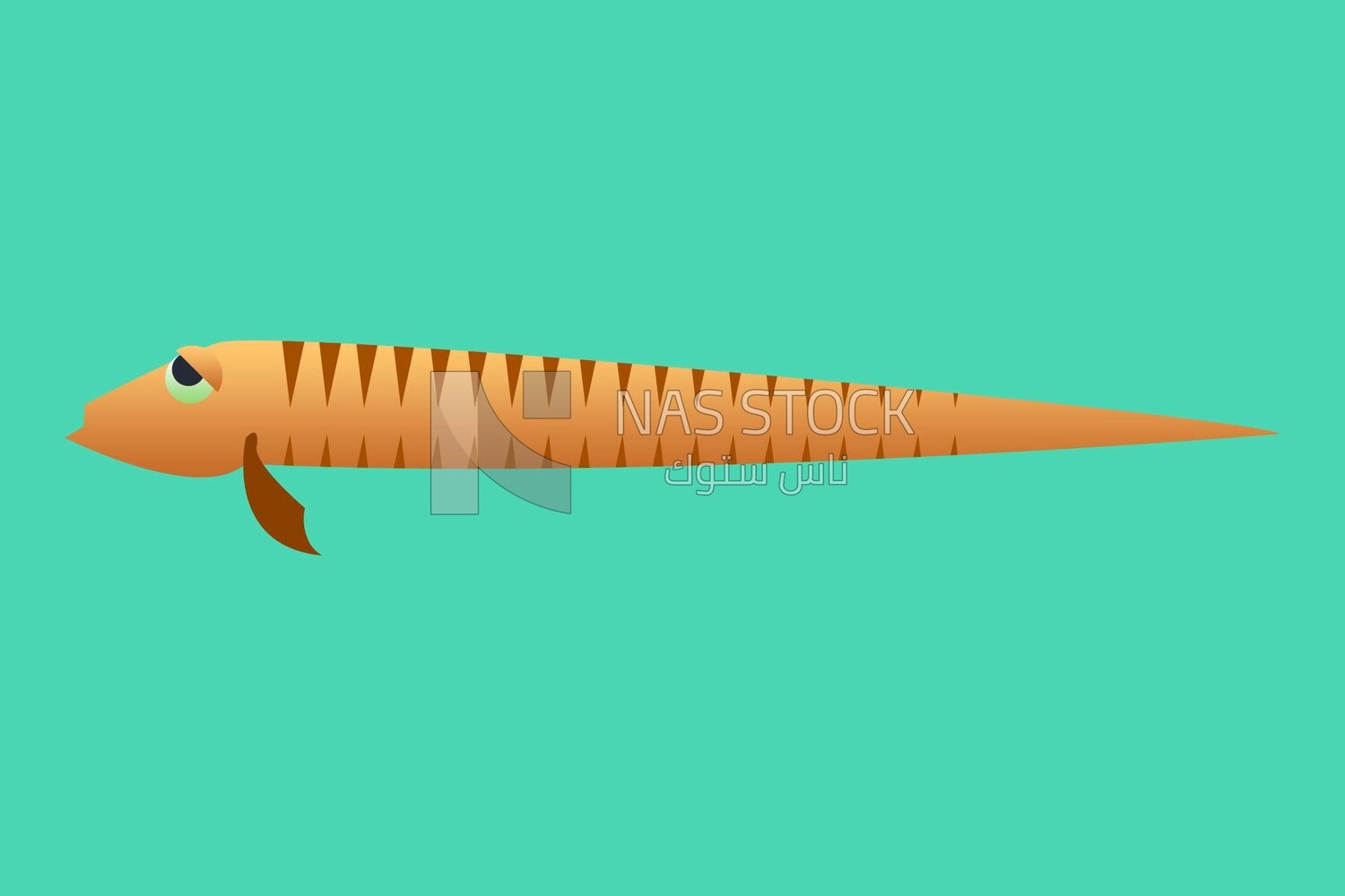 Australian fish