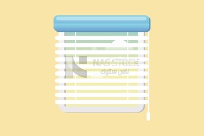 Window with curtain