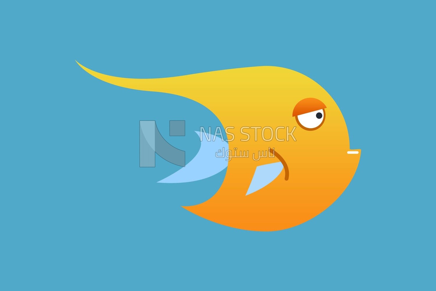 Yellow fish