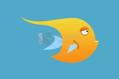 Yellow fish