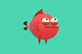 Red fish