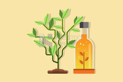 Plants seedlings