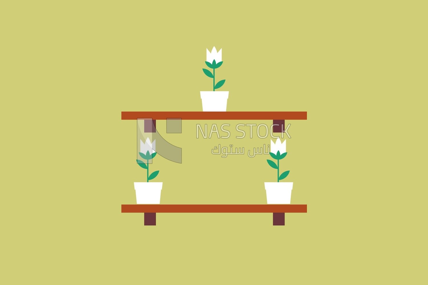 Shelves with vases