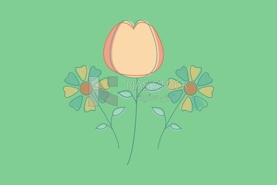 Cute bouquet of flowers