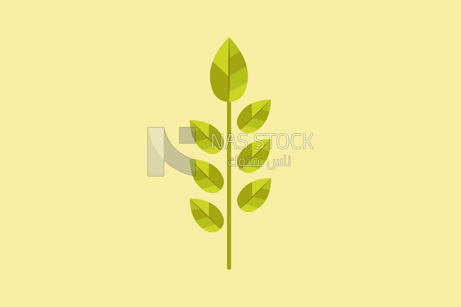 Herbs