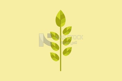 Herbs