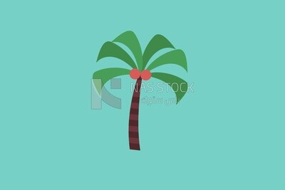 palm tree