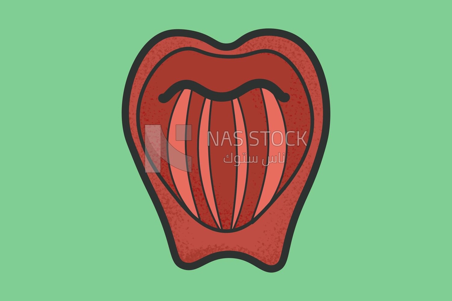 Vocal cords