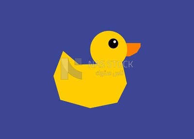 Little duck