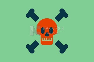 Skull on a white background
