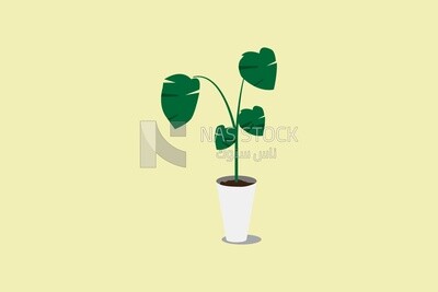 decorative trees