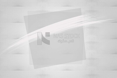 white textured background