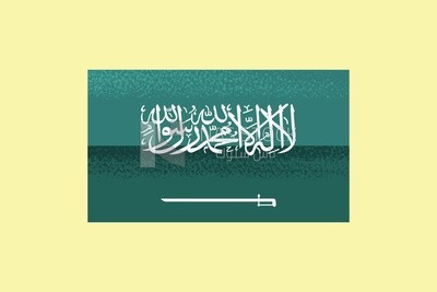 Saudi Arabia flag on a white background