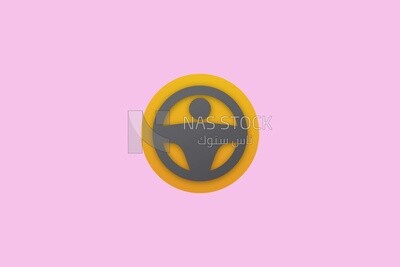 driver icon
