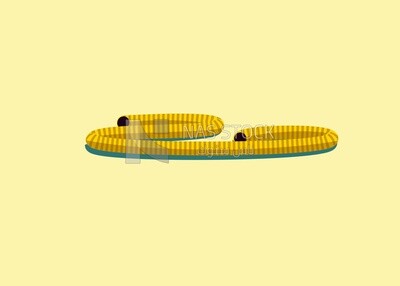 yellow hose on a white background