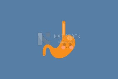 cute stomach character