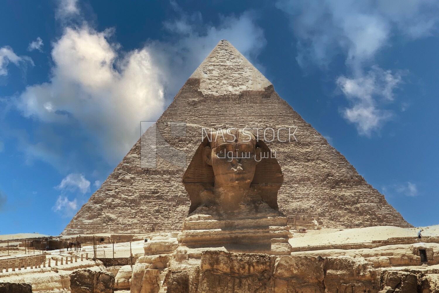 View of the Giza Pyramid behind the Great Sphinx, Tourism in Egypt, famous landmarks in Egypt, the beauty of the scenic landscapes