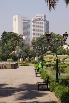 View from Al Horreya Garden, Nature