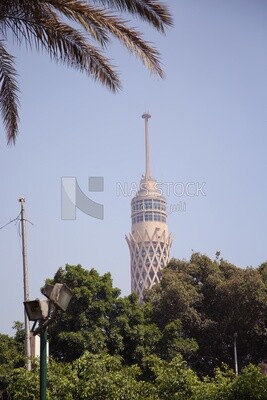 View from Al Horreya Garden showing the Cairo tower, Nature